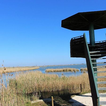Quet - Casa Rural Con Piscina Privada En El Delta Del Ebro - Deltavacaciones Deltebre Zewnętrze zdjęcie