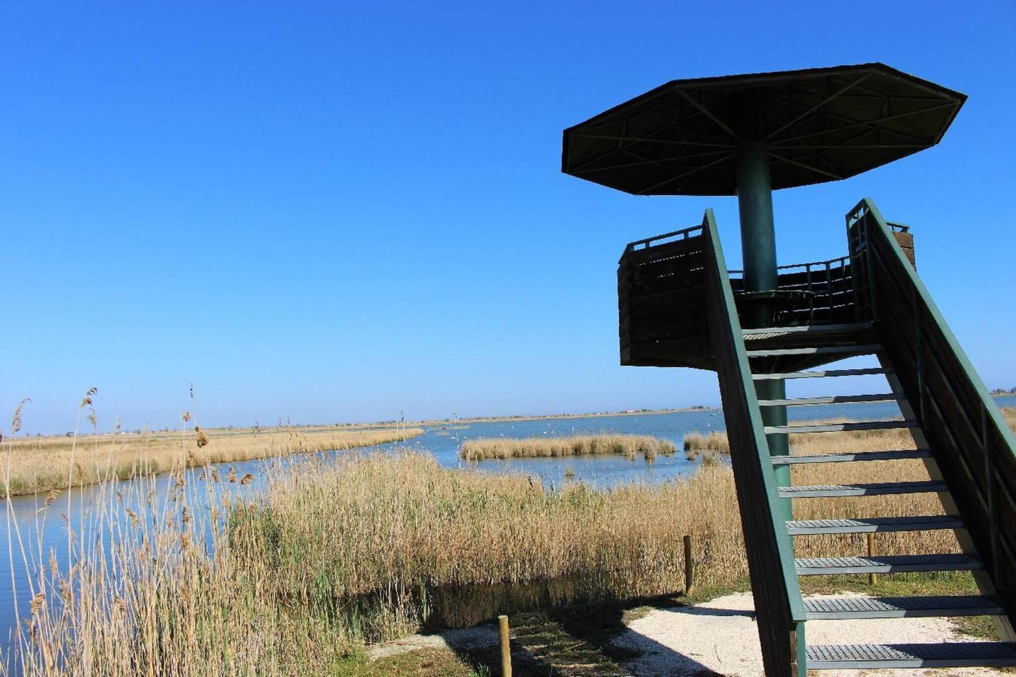 Quet - Casa Rural Con Piscina Privada En El Delta Del Ebro - Deltavacaciones Deltebre Zewnętrze zdjęcie